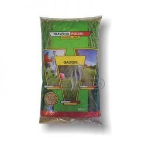 Trawnik Polski Gazon Trawa Ozdobna Nasiona Trawy 0,9kg