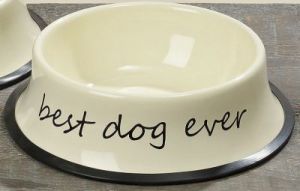 MISKA DOG EVER
